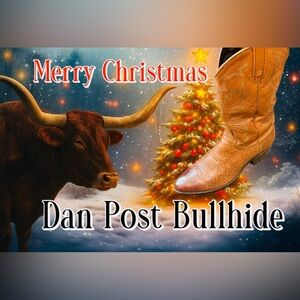 🔥 Dan Post Bullhide Cowboy Boots 11D USA Made – Christmas Special 🎁